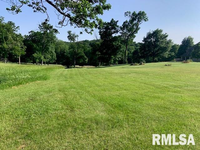 3 Governors Dr, Elkhart, IL 62634 - photo 2