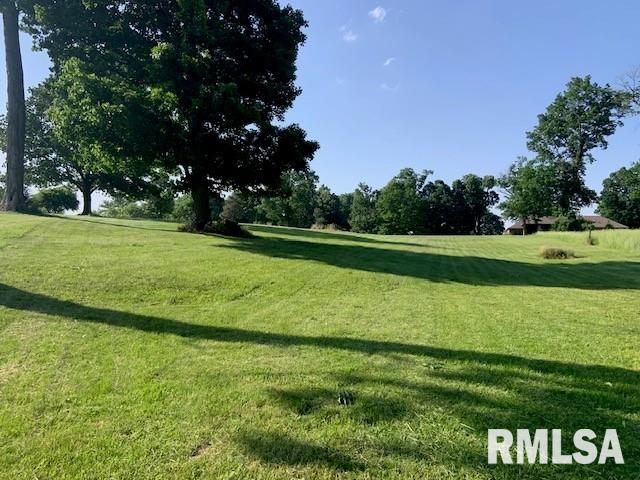 3 Governors Dr, Elkhart, IL 62634 - photo 3