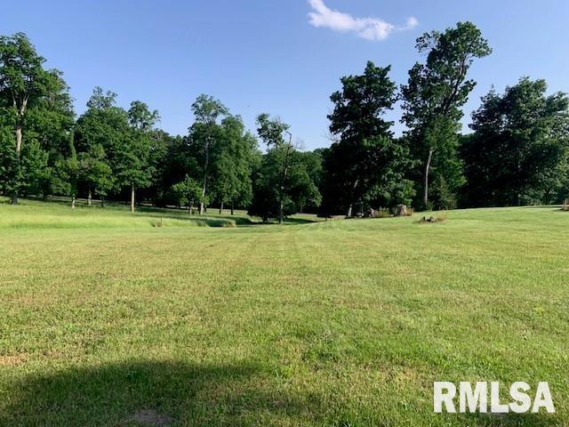 3 Governors Dr, Elkhart, IL 62634 - photo 4
