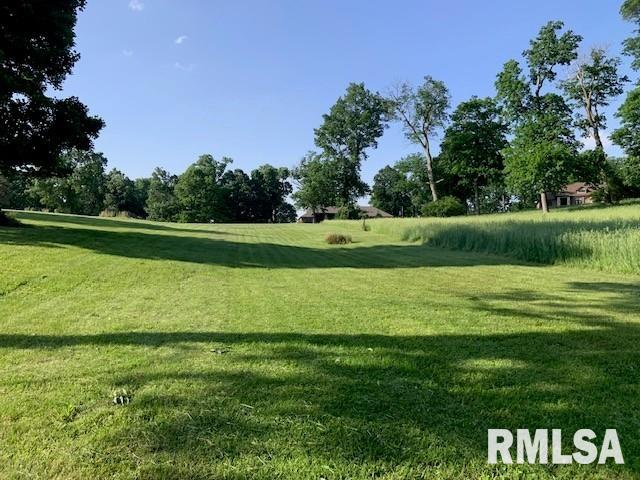3 Governors Dr, Elkhart, IL 62634 - photo 7