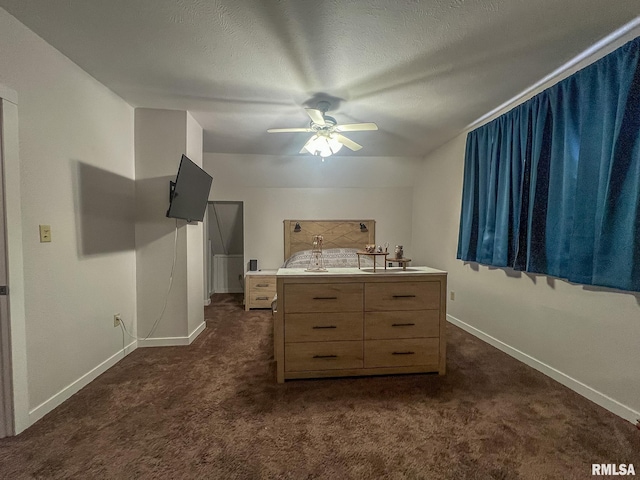 253 Day St, Galesburg, IL 61401 - bedroom with baseboards, a textured ceiling, and dark carpet