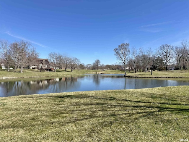 112 Lonergan Ln, Jacksonville, IL 62650 - photo 19