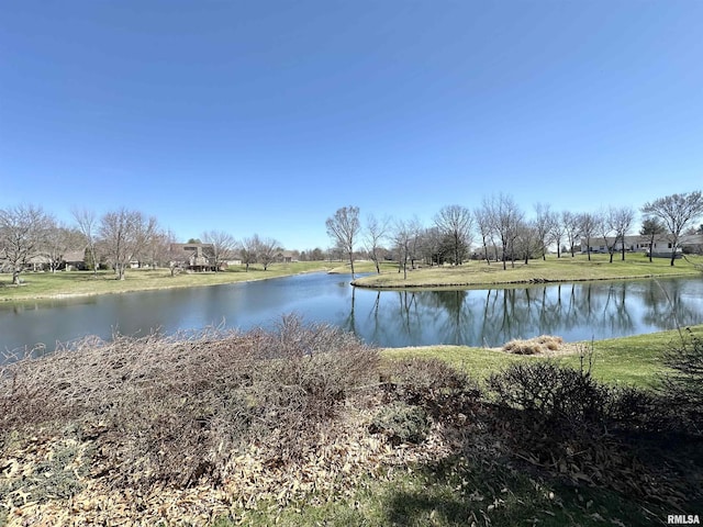 112 Lonergan Ln, Jacksonville, IL 62650 - photo 7