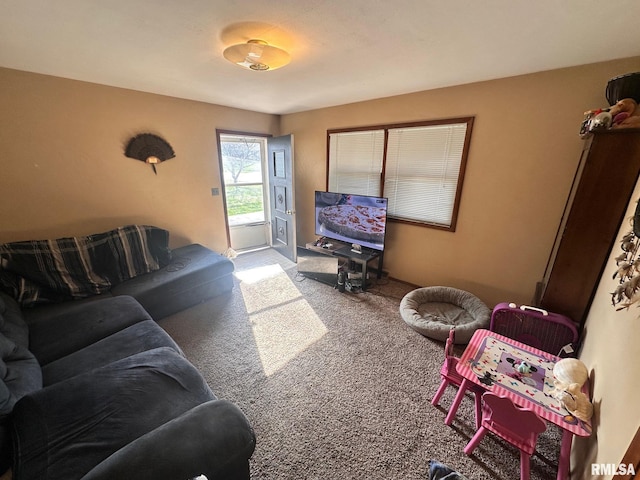 living room featuring carpet floors