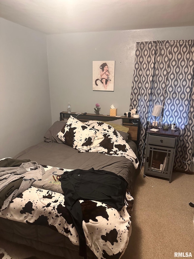 bedroom with carpet flooring