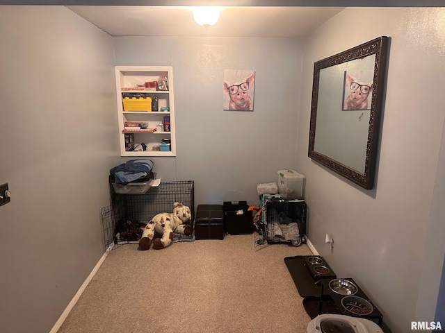 miscellaneous room featuring carpet floors