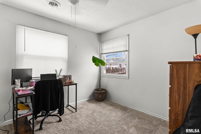 2364 E Keys Ave, Springfield, IL 62702 - home office featuring carpet floors and baseboards