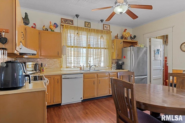 kitchen with light countertops, a sink, stainless steel appliances, and wood finished floors