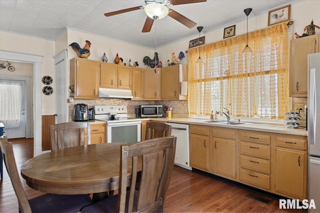 kitchen featuring light countertops, a sink, stainless steel appliances, and under cabinet range hood