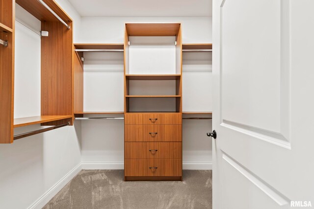 spacious closet featuring carpet flooring