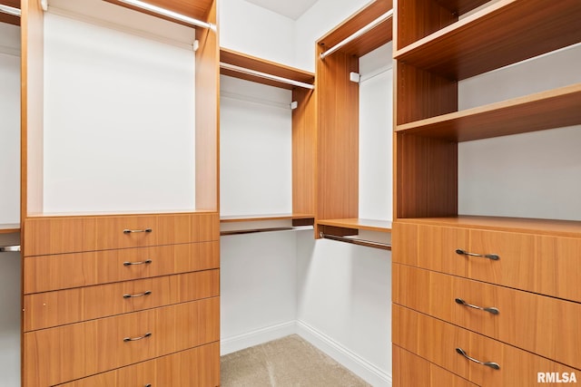 walk in closet with light colored carpet