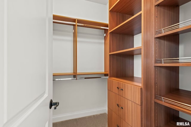 spacious closet with carpet floors