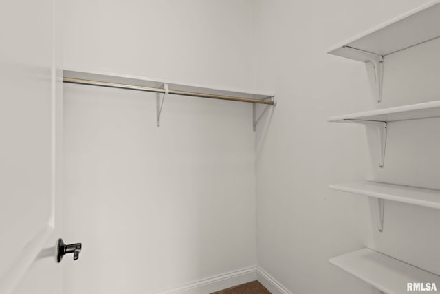 view of walk in closet