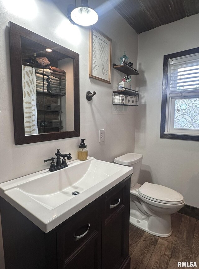 308 Galesburg Rd, Knoxville, IL 61448 - bathroom with wood finished floors, vanity, and a shower with curtain