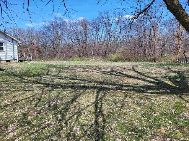 9625 Rock Quarry Rd, Quincy, IL 62305 - view of yard