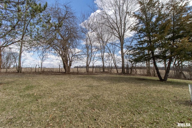 view of yard