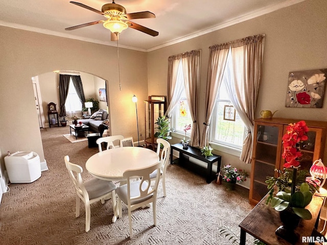 dining space featuring carpet, arched walkways, ceiling fan, and ornamental molding