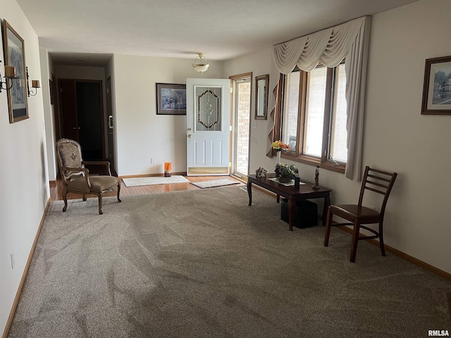 living area featuring baseboards and carpet floors