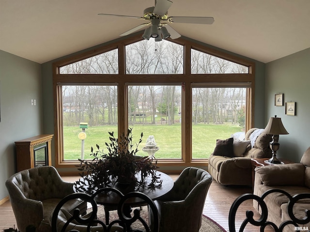 dining room with lofted ceiling, wood finished floors, and a ceiling fan