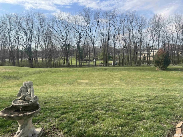 view of yard