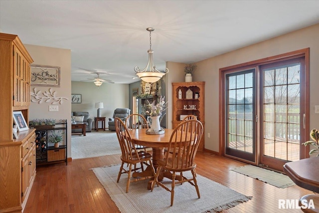 495 S Griffith Creek Rd, Mechanicsburg, IL 62545 - photo 15