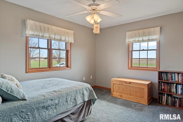 495 S Griffith Creek Rd, Mechanicsburg, IL 62545 - photo 25