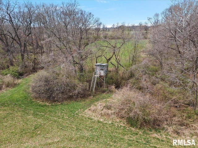 495 S Griffith Creek Rd, Mechanicsburg, IL 62545 - photo 78