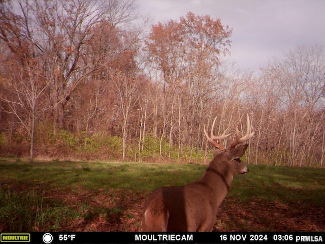 495 S Griffith Creek Rd, Mechanicsburg, IL 62545 - photo 84