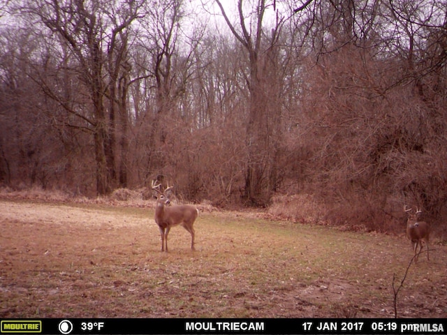 495 S Griffith Creek Rd, Mechanicsburg, IL 62545 - photo 86