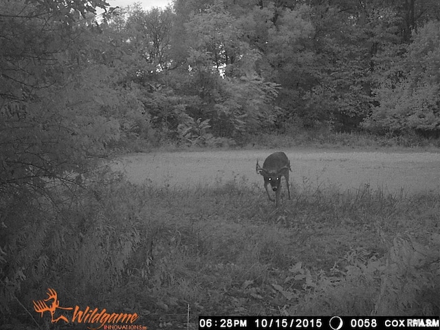 495 S Griffith Creek Rd, Mechanicsburg, IL 62545 - photo 88