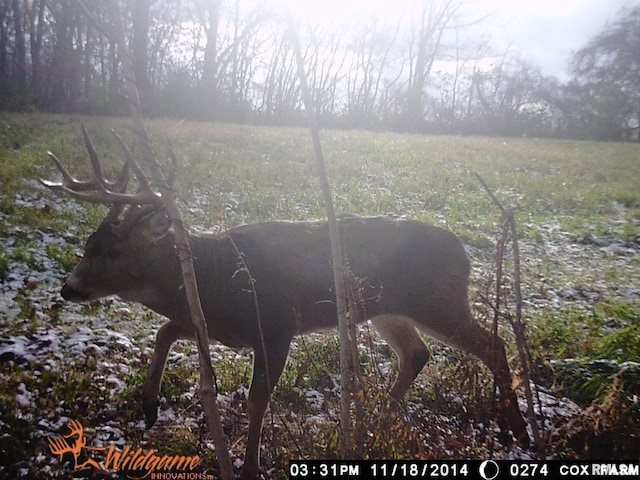 495 S Griffith Creek Rd, Mechanicsburg, IL 62545 - photo 89