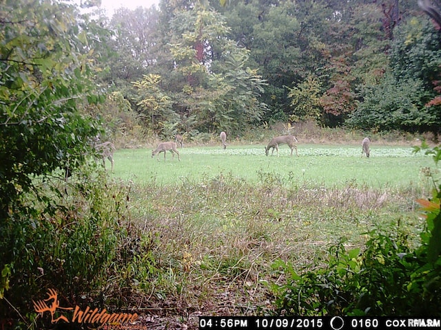 495 S Griffith Creek Rd, Mechanicsburg, IL 62545 - photo 90