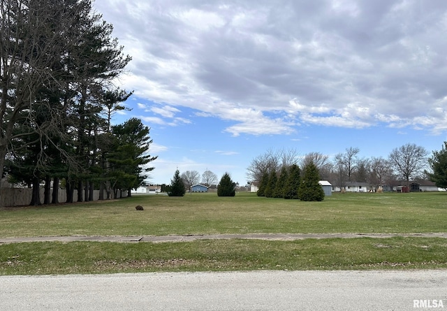 290 W Railroad St, Roseville, IL 61473 - view of yard