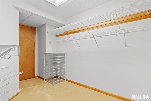 spacious closet with light carpet
