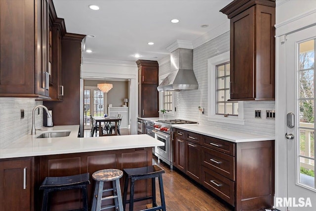 kitchen with high end stainless steel range, wall chimney exhaust hood, a sink, and a healthy amount of sunlight