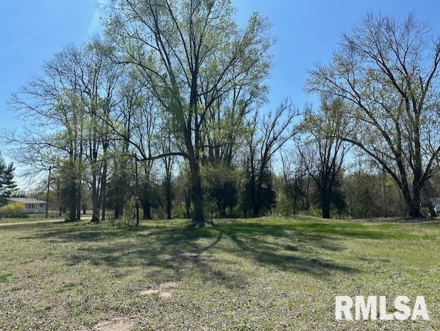 521 Pearl St, Meredosia, IL 62665 - photo 1
