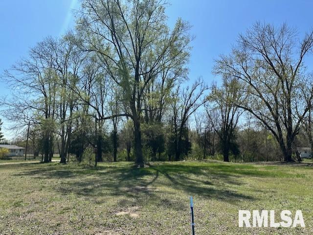 521 Pearl St, Meredosia, IL 62665 - photo 2