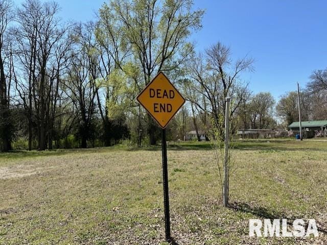 521 Pearl St, Meredosia, IL 62665 - photo 3