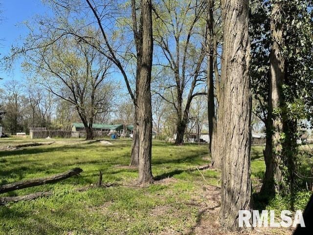 521 Pearl St, Meredosia, IL 62665 - photo 4