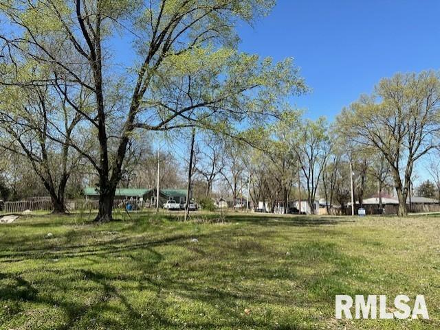 521 Pearl St, Meredosia, IL 62665 - photo 5