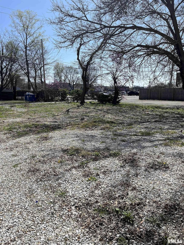 1108 S 2nd St, Springfield, IL 62704 - view of yard