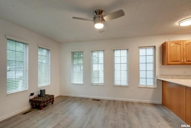 812 N 49th St, Quincy, IL 62305 - interior space featuring light wood finished floors, a ceiling fan, and a wealth of natural light