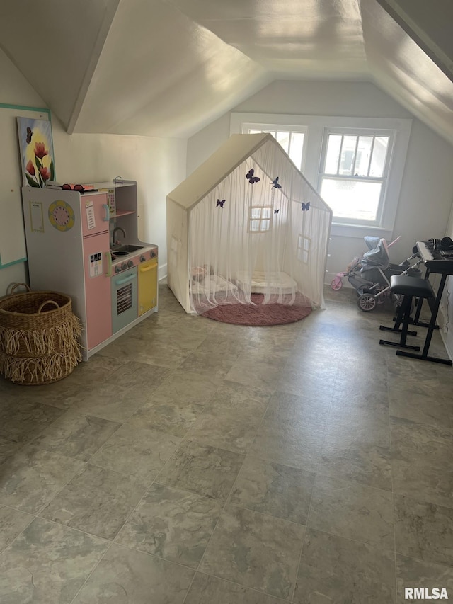 1037 Brown Ave, Galesburg, IL 61401 - bonus room with a sink and lofted ceiling