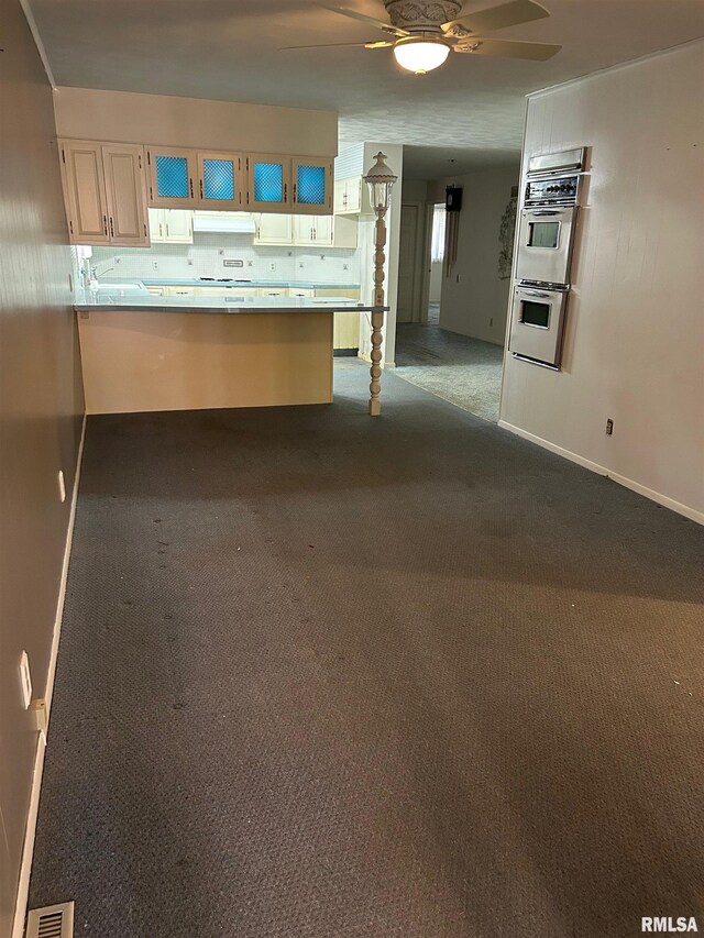 306 E Poplar St, Taylorville, IL 62568 - photo 11