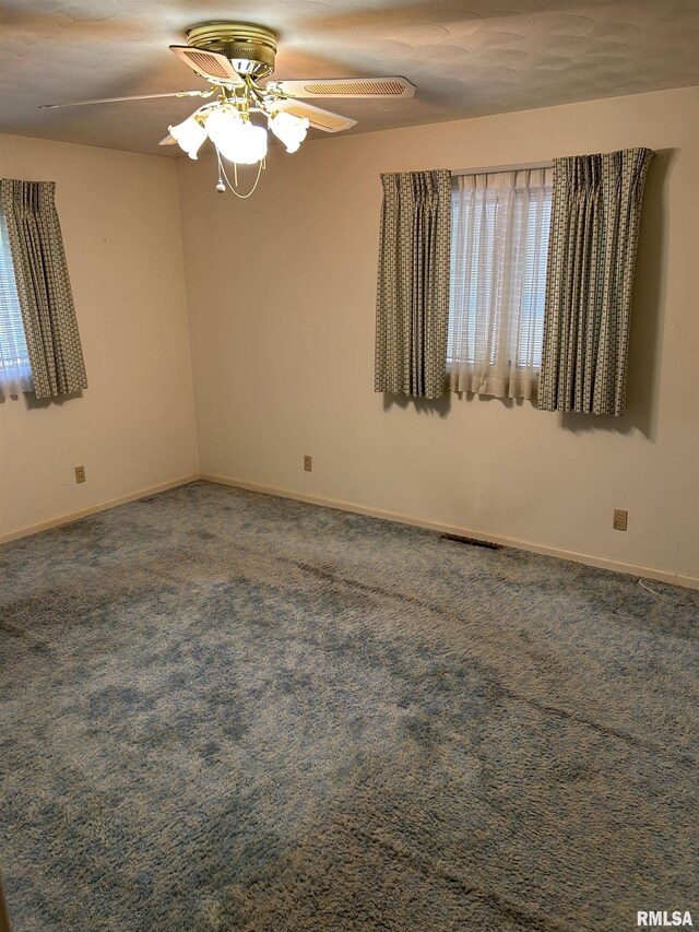 306 E Poplar St, Taylorville, IL 62568 - photo 43