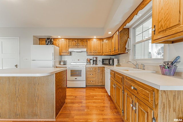 kitchen with a sink, light countertops, white appliances, light wood-style floors, and under cabinet range hood