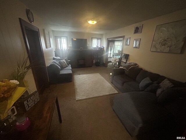 517 W Ash St, Springfield, IL 62704 - photo 4