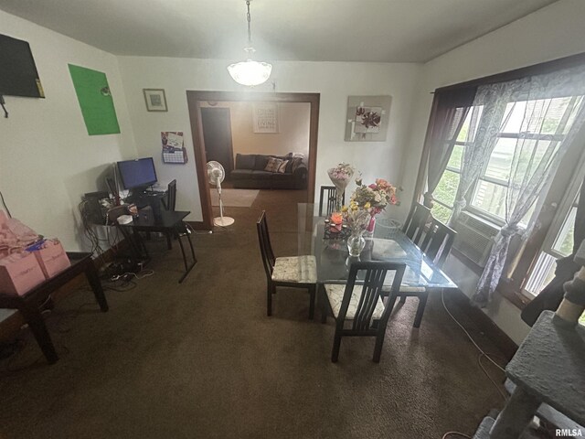 517 W Ash St, Springfield, IL 62704 - photo 6