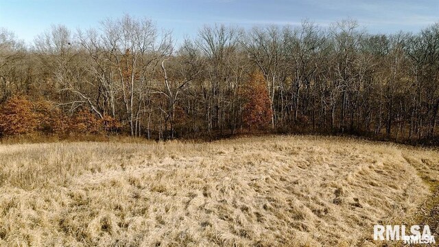 E500N300 E E Rd, Oconee, IL 62553 - photo 11