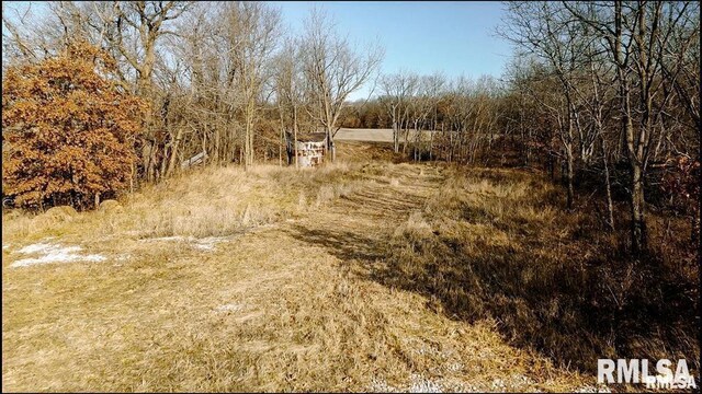 E500N300 E E Rd, Oconee, IL 62553 - photo 12